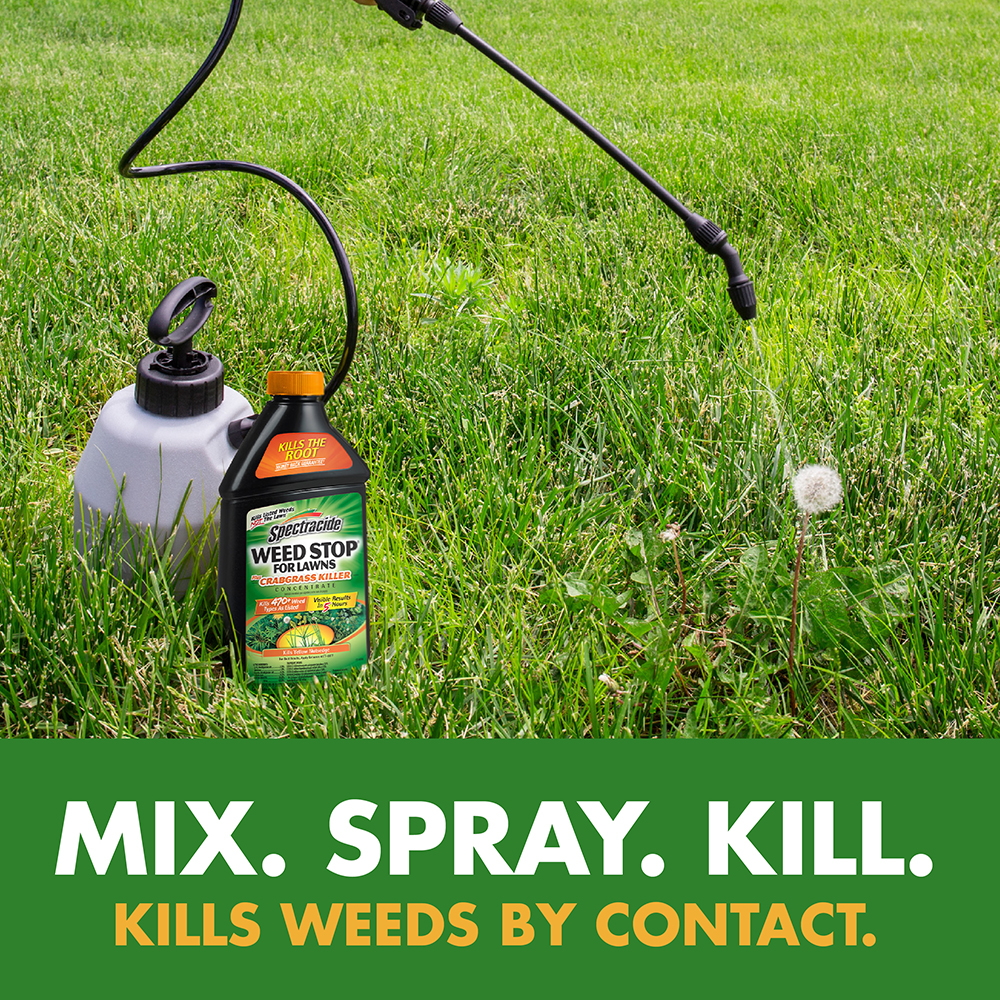 Spectracide weed deals killer